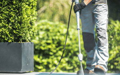 Transform Your Property with Ricky’s Pressure Washing: Experience the Power of Clean!